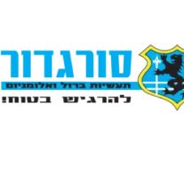 סורגדור- סורגים